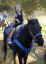 trotting_pony-990925.jpg (46090 bytes) Riding the ponies at Irvine Park.